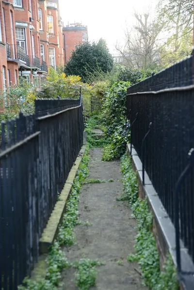 DSC_7163 (Large).JPG